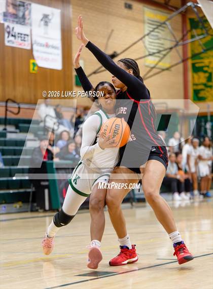 Thumbnail 1 in Antelope @ Kennedy photogallery.