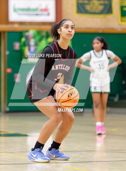 Thumbnail 1 in Antelope @ Kennedy photogallery.