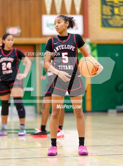 Thumbnail 2 in Antelope @ Kennedy photogallery.