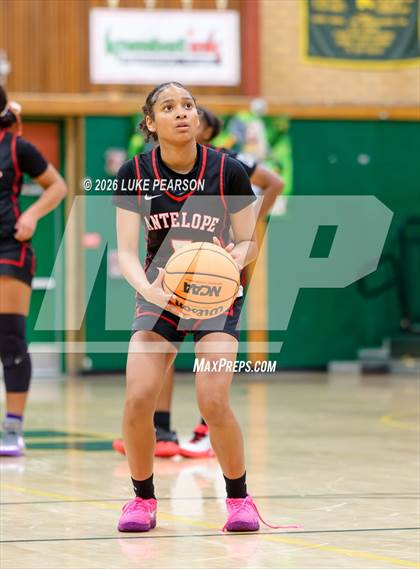 Thumbnail 3 in Antelope @ Kennedy photogallery.