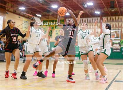 Thumbnail 3 in Antelope @ Kennedy photogallery.