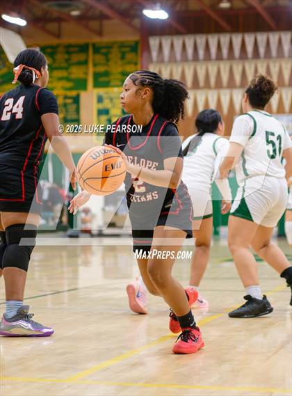 Thumbnail 3 in Antelope @ Kennedy photogallery.