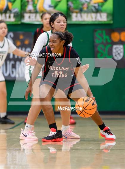 Thumbnail 3 in Antelope @ Kennedy photogallery.