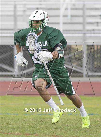 Thumbnail 1 in Norwalk @ New Milford photogallery.