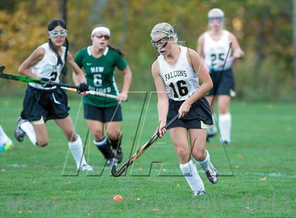 Thumbnail 1 in New Milford @ Joel Barlow photogallery.