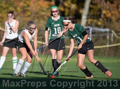Thumbnail 3 in New Milford @ Joel Barlow photogallery.