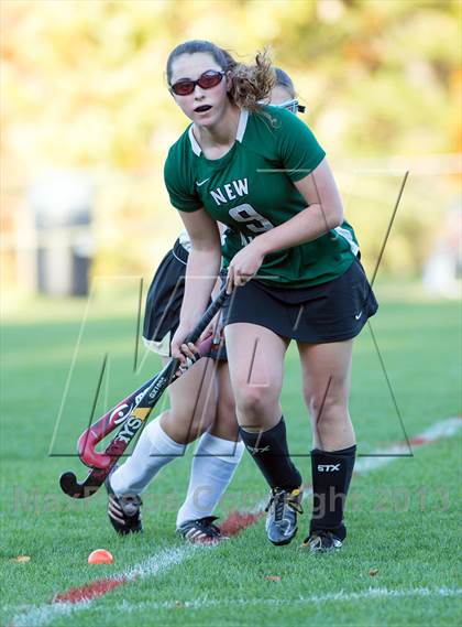 Thumbnail 1 in New Milford @ Joel Barlow photogallery.