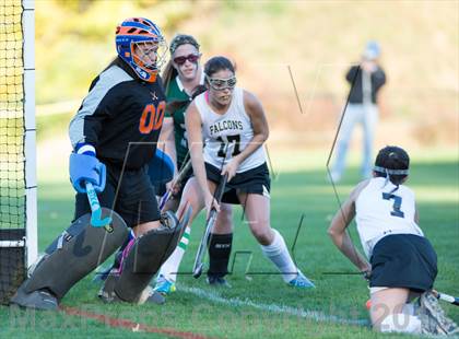 Thumbnail 1 in New Milford @ Joel Barlow photogallery.