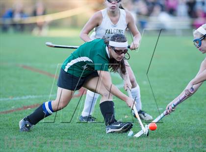 Thumbnail 1 in New Milford @ Joel Barlow photogallery.