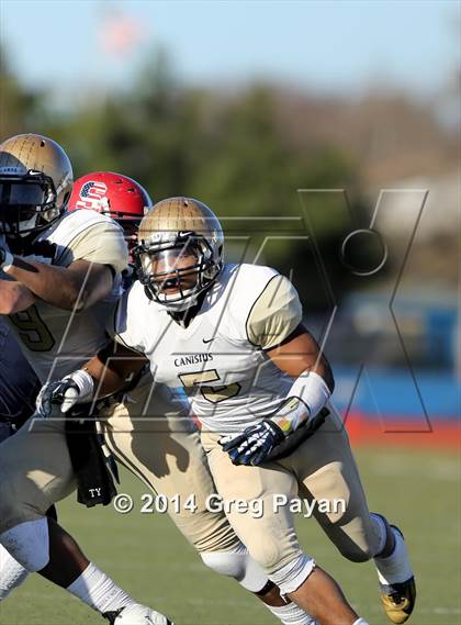 Thumbnail 3 in Archbishop Stepinac vs. Canisius (CHSAA State Final) photogallery.
