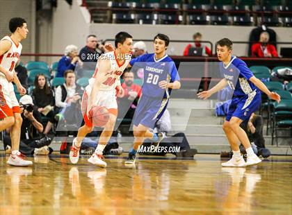 Thumbnail 1 in Lewis-Palmer vs. Longmont (CHSAA 4A Final) photogallery.
