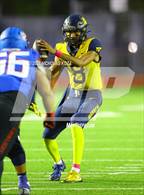 Photo from the gallery "Warren vs. Serra"