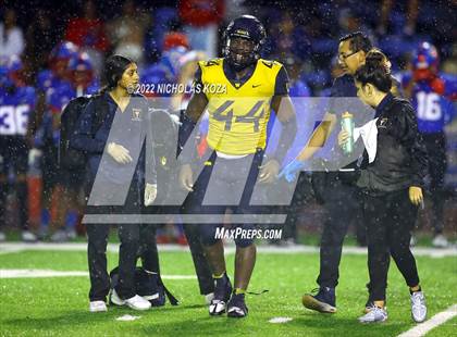Thumbnail 2 in Warren vs. Serra photogallery.