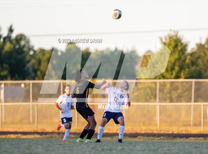 Thumbnail 2 in Purnell Swett @ Jack Britt photogallery.