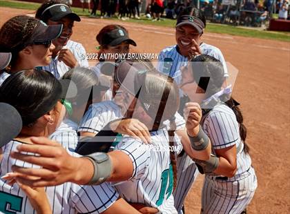 Thumbnail 2 in Sheldon vs. Lincoln (CIF SJS D1 Final) photogallery.