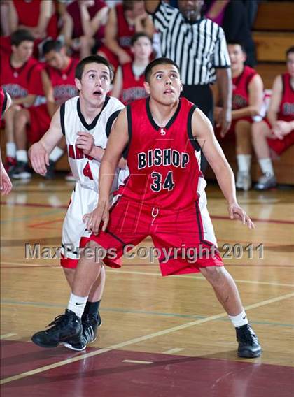 Thumbnail 3 in Bishop Diego @ Carpinteria photogallery.