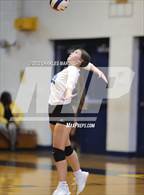 Photo from the gallery "Midway @ Cape Fear"