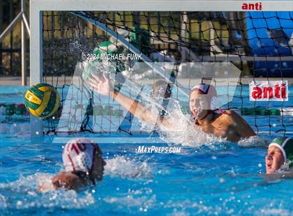 Thumbnail 3 in Vintage @ Sonoma Valley photogallery.