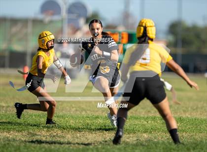 Thumbnail 3 in Woodrow Wilson @ Sunny Hills photogallery.