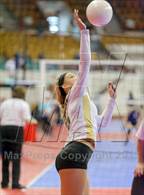 Photo from the gallery "Mountain Vista vs. Cherry Creek (CHSAA 5A Pool IV)"