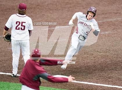 Thumbnail 1 in Tennessee @ Dobyns-Bennett photogallery.
