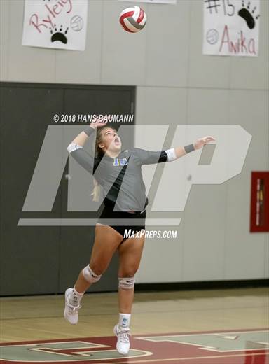 null - Photo 01
