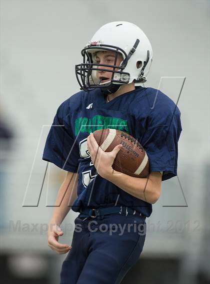 Thumbnail 2 in Briar Woods @ Woodgrove photogallery.