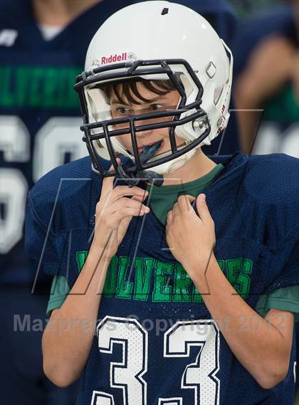 Thumbnail 1 in Briar Woods @ Woodgrove photogallery.