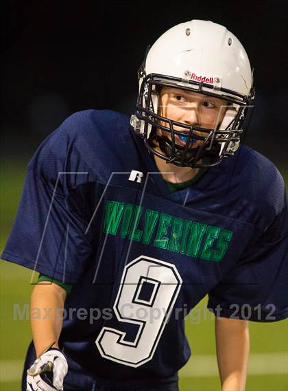 Thumbnail 3 in Briar Woods @ Woodgrove photogallery.