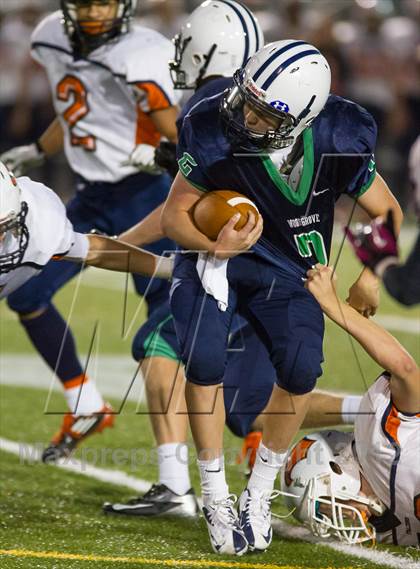 Thumbnail 3 in Briar Woods @ Woodgrove photogallery.