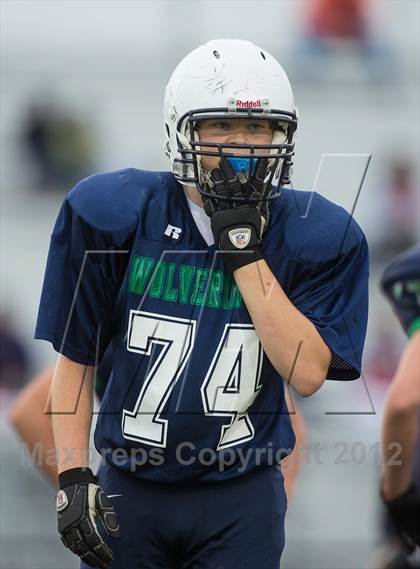 Thumbnail 3 in Briar Woods @ Woodgrove photogallery.