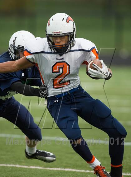 Thumbnail 1 in Briar Woods @ Woodgrove photogallery.