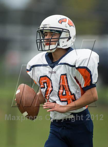 Thumbnail 2 in Briar Woods @ Woodgrove photogallery.