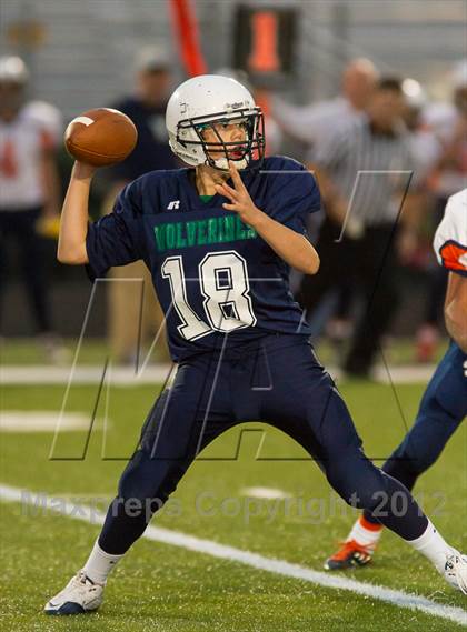 Thumbnail 1 in Briar Woods @ Woodgrove photogallery.