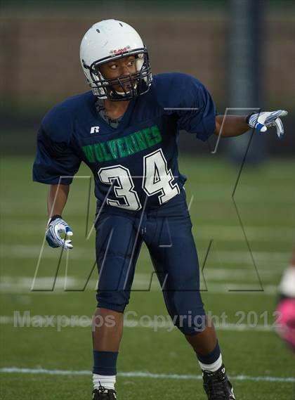 Thumbnail 3 in Briar Woods @ Woodgrove photogallery.