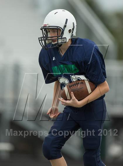 Thumbnail 1 in Briar Woods @ Woodgrove photogallery.