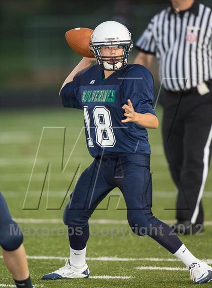 Thumbnail 1 in Briar Woods @ Woodgrove photogallery.