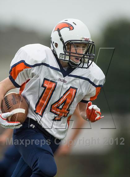 Thumbnail 1 in Briar Woods @ Woodgrove photogallery.