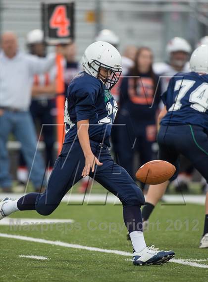 Thumbnail 3 in Briar Woods @ Woodgrove photogallery.