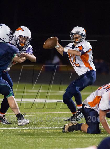 Thumbnail 3 in Briar Woods @ Woodgrove photogallery.