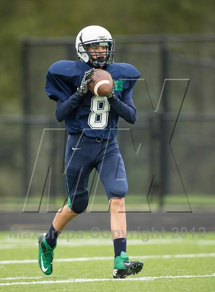 Thumbnail 3 in Briar Woods @ Woodgrove photogallery.