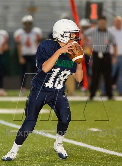 Thumbnail 3 in Briar Woods @ Woodgrove photogallery.