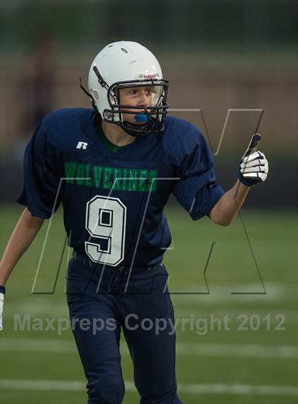 Thumbnail 1 in Briar Woods @ Woodgrove photogallery.