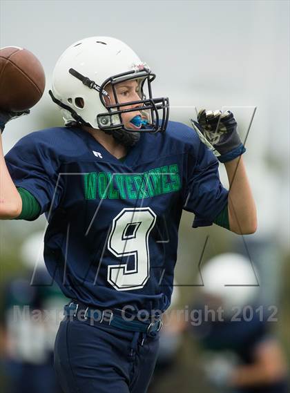 Thumbnail 1 in Briar Woods @ Woodgrove photogallery.