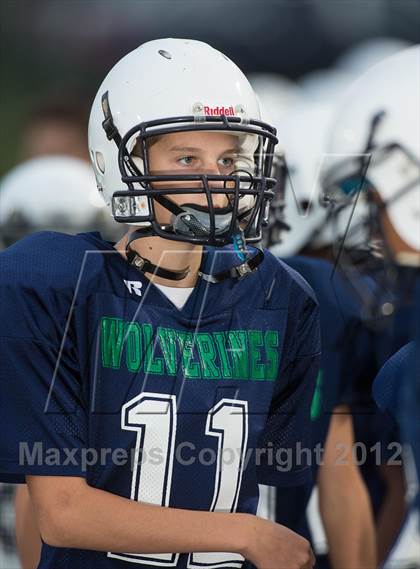 Thumbnail 3 in Briar Woods @ Woodgrove photogallery.