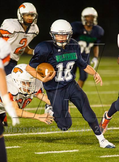 Thumbnail 2 in Briar Woods @ Woodgrove photogallery.