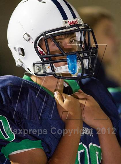 Thumbnail 3 in Briar Woods @ Woodgrove photogallery.