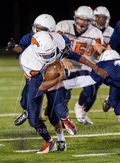 Thumbnail 2 in Briar Woods @ Woodgrove photogallery.