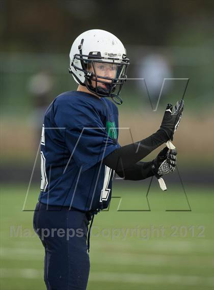 Thumbnail 3 in Briar Woods @ Woodgrove photogallery.
