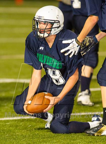 Thumbnail 3 in Briar Woods @ Woodgrove photogallery.
